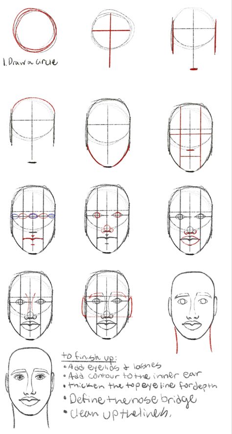 Facial proportion map and guidelines Realistic Face Guidelines, Facial Anatomy Drawing Face Reference, Face Porpotion Reference Drawing, Head Guidelines Drawing, Portrait Guidelines, Facial Structure Drawing, Head Guidelines, Face Guidelines Drawing, Face Guidelines