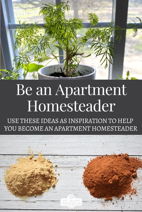 How to be an Apartment Homesteader • The Prairie Homestead Black Women Homesteading, Simple Homesteading Ideas, Homestead In Apartment, How To Be Crunchy, Homestead In An Apartment, Indoor Homesteading, Homesteading In The City, Homesteading In An Apartment, Small Homestead Aesthetic