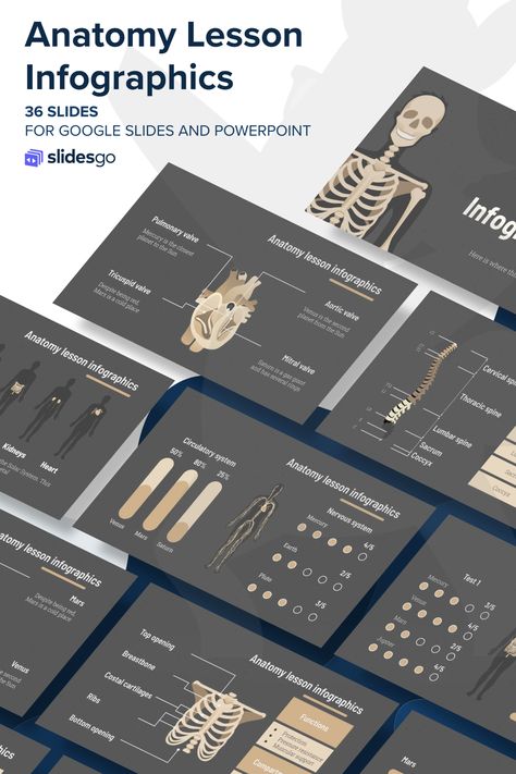 Science Powerpoint, Best Presentation Templates, Ppt Template Design, Anatomy Lessons, Presentation Slides Design, Powerpoint Slide Designs, Business Presentation Templates, Medical School Inspiration, Powerpoint Slides