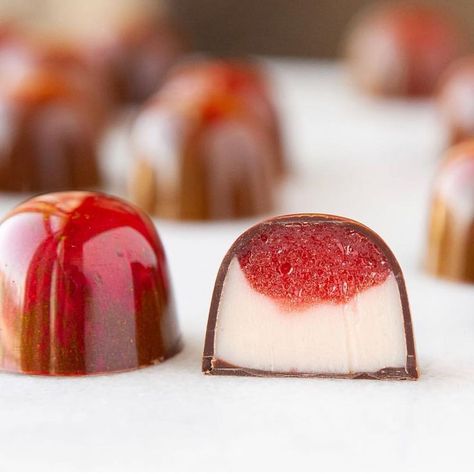 “Blood Orange Pâte de Fruit atop blood orange infused white chocolate ganache” Champagne Jellies, Chocolate Bonbons Recipe, Yogurt Berries, Bon Bons Recipe, Polycarbonate Chocolate Molds, Chocolate Candy Recipes, Chocolate Recipes Homemade, Hazelnut Coffee, White Chocolate Ganache