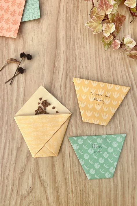 These origami seed packets are so easy to make and are great for storing seeds collected from ... Seed Packets Diy, Seed Gifts, Folded Paper Pockets, Seed Packet Gift Ideas, Seed Gift Ideas, How To Fold Seed Packets, Gifting Seeds, Diy Small Envelope, Folding Envelope