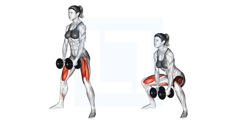 Squats Muscles Worked, Benefits Of Squats, Squat Form, Dumbbell Workouts, Sciatica Symptoms, Squat Variations, Lower Body Muscles, Weighted Squats, Front Squat