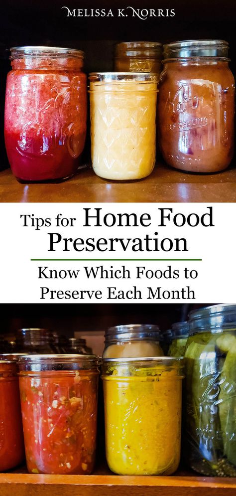 Tips for Home Food Preservation - Seasonal Preserving Each Month Food Grade Buckets, Food In Jars, Preppers Pantry, Canning 101, Preserve Food, Canning Food Preservation, Canned Food Storage, Canning Tips, Canning Tomatoes