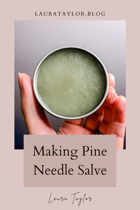 Pine Infused Oil, Pine Salve Recipe, Things To Make With Pine Needles, Pine Resin Salve, Pine Oil Diy, Uses For Pine Needles, Pine Needle Salve Recipe, Pine Needle Salve, Pine Tree Uses