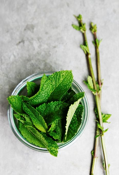 Mint Julep Recipe, Fresh Mint Leaves, Spices And Herbs, Healing Food, Mint Julep, Mint Leaves, Fresh Mint, Sweet Savory, Beautiful Food