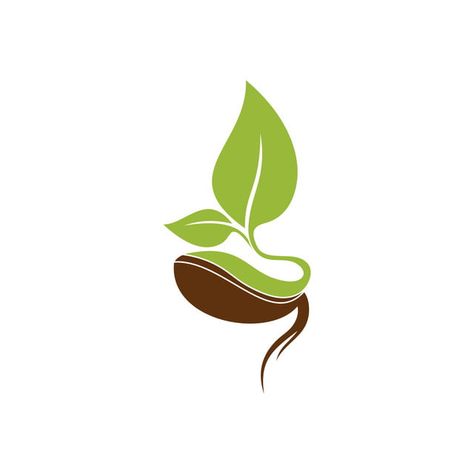 logo icons,plant,icon,vector,seed,logo,leaf,organic,symbol,nature,design,green,natural,grow,growth,agriculture,fresh,food,sign,ecology,farm,illustration,element,eco,concept,sprout,garden,simple,environment,graphic,flower,isolated,health,creative,bio,tree,life,template,flat,growing,gardening,flora,soil,company,botany,business,vegan,line,floral,bean,product Sprout Logo, Lime Cocktails, Lime Margarita Recipe, Seed Logo, Plant Logos, Logo Illustration Design, Plant Icon, Eco Logo, Lime Margarita