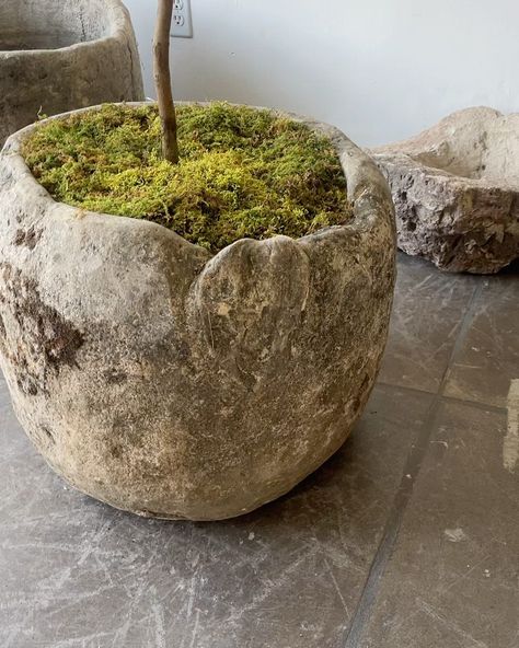 Antique limestone troughs , antique limestone pots , antique stone sinks and antique limestone dishes / bowls means our favorite container… | Instagram Antique Stone Sink, Moss Centerpieces, Moroccan Garden, Stone Sinks, Stone Wall Cladding, Cement Art, Stone Planters, Castle Garden, Antique Stone