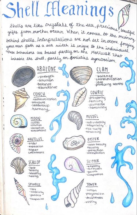 Shell Meaning, Water Witch, Art Coquillage, Wiccan Magic, Witch Spirituality, Grimoire Book, Magic Spell Book, Wiccan Spell Book, Magick Book