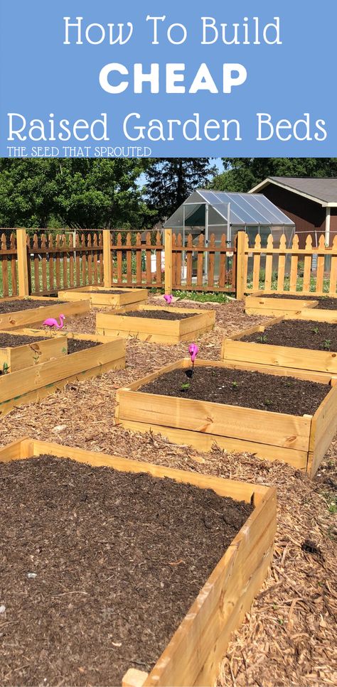 Easy Raised Garden Bed, Backyard Raised Garden, Cheap Raised Garden Beds, Raised Garden Beds Diy Vegetables, Garden Bed Layout, Raised Vegetable Gardens, Building Raised Garden Beds, Backyard Design Ideas, Raised Flower Beds