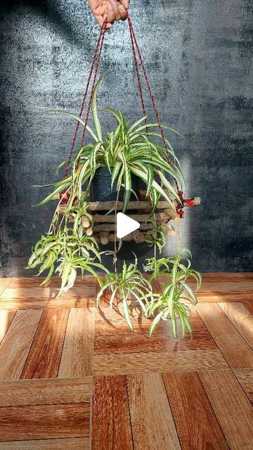 Diy Wooden Hanging Planter, Hanging Pot Diy, Diy Hanging Pots For Plants, Indoor Potted Plants Ideas, Pot Hanging Ideas, Plant Hanging Ideas Diy, Planters Ideas Indoor, Hanging Planters Diy, Diy Plant Holder