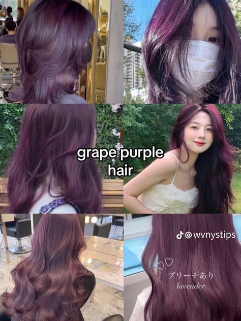 Dark Violet Hair, Bleach Hair Color, Red Purple Hair, Pelo Color Vino, Hidden Hair Color, Violet Hair Colors, Which Hair Colour, Korean Hair Color, Violet Hair