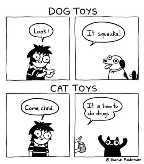 Sarah's Scribbles, Sarah Andersen, Sarah Anderson, Cat Comics, Online Comics, Cat Stuff, Funny Animal Memes, Cute Memes, Funny Cute Cats