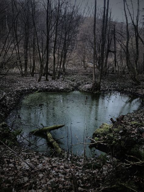 Forest Scary Aesthetic, Forest Swamp Aesthetic, Mysterious Forest Aesthetic, Forest Horror Aesthetic, Dark Swamp Aesthetic, Scary Forest Drawing, Sludge Aesthetic, Swamp Aesthetic Dark, Scary Forest Aesthetic