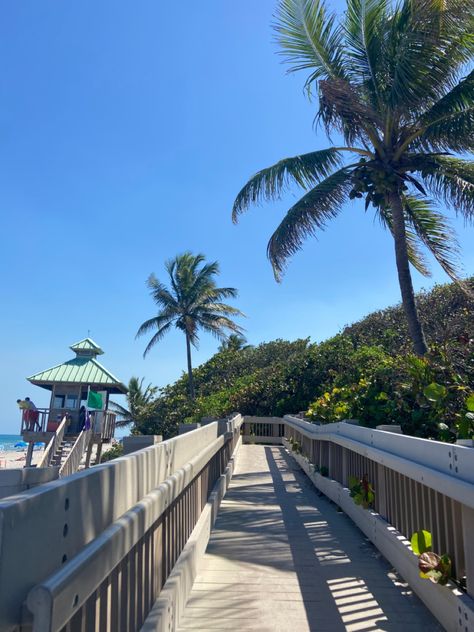 University Of South Florida Aesthetic, Fort Lauderdale Florida Aesthetic, Florida Atlantic University Aesthetic, Fau University, Palm Beach Atlantic University, Beach University, Florida Fort Lauderdale, Florida Atlantic University, Colleges In Florida