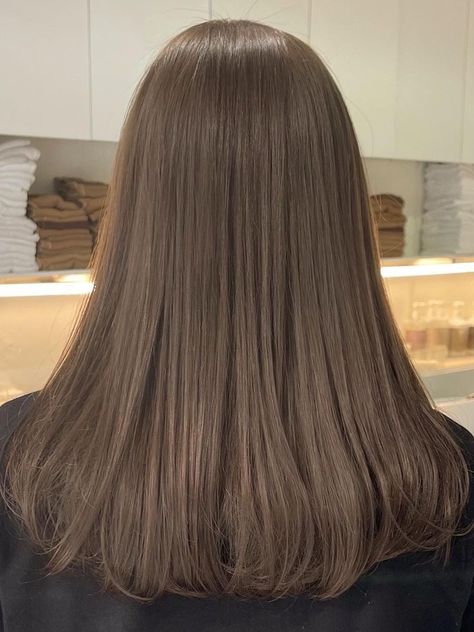 Korean ash brown hair color Neutral Hair Color Brown, Light Ash Brown Hair Solid Color, Ash Brown Hair Color For Morena, Ash Based Brown Hair, Mousy Brown Hair Color, Light Neutral Brown Hair Color, Level 7 Ash Brown Hair, Ash Chestnut Brown Hair, Ashen Hair Color