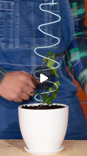 5-Minute Crafts on Instagram: "Tips and tricks for outdoor and indoor plants!  #indoorgarden #planthacks #gardening101" 2024 Tips, Rooting Plants, Propagating Roses, Gardening Tips And Tricks, Instagram Tips And Tricks, Garden Hacks Diy, Planting Tips, Household Plants, Plant Hacks