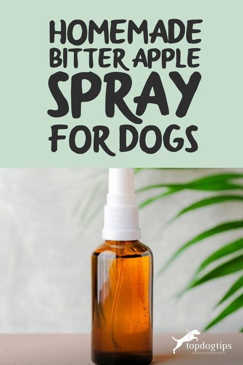 Diy Pet Care Products, Homemade Dog Deterrent Spray, Diy Dog Deterrent Spray, Deterrent Spray For Dogs, Bitter Apple Spray Dogs Homemade, Dog Chewing Deterrent Homemade, Diy Dog Spray For Odor, Diy Anti Itch Spray For Dogs, No Chew Spray For Dogs Diy