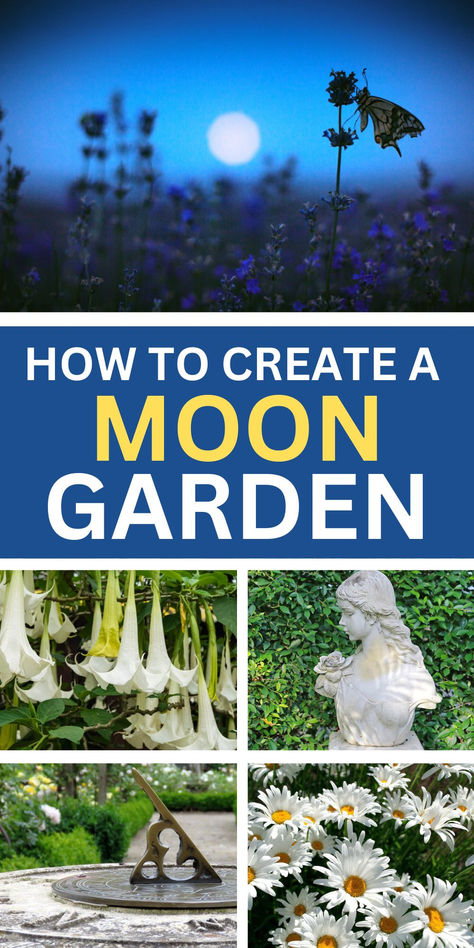 How to Create a Moonlight Garden | Montana Happy Nature, Mandalas, Practical Magic Garden Layout, Moon Gardens At Night, Flower Garden Against House, Zen Outdoor Garden, Themed Garden Ideas, Witchy Garden Design, Witches Garden Design