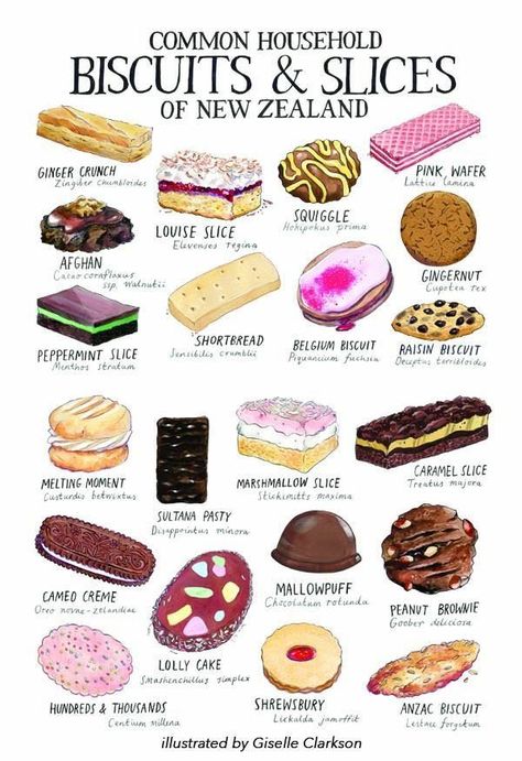 Tan Slice – Brookford Kitchen Diaries Peppermint Slice, Dessert Names, New Zealand Food, Food Infographic, Ginger Nut, British Baking, Think Food, Food Drawing, Food Illustrations