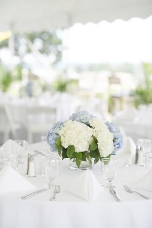 Hydrangea Blue Centerpiece, Blue Spring Wedding Flowers, Blue Wedding Flowers Bouquet White Hydrangeas, Hydrangea Wedding Centerpieces Simple, Hydrangea Centre Pieces, Hydrangeas At Wedding, Wedding Centre Piece Ideas Long Tables, White Rose And Blue Hydrangea Bouquet, Coastal Connecticut Wedding