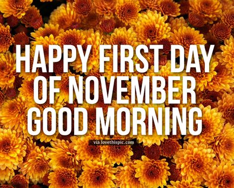 Happy New Month November Blessings, Good Morning November 1st Quotes Inspiration, 1st November Images, First Day Of November Quotes, Happy New Month November Quotes, Month Of November Quotes, Good Morning November 1st, November 1 Quotes, First Of November Quotes