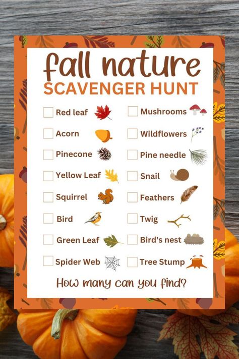 Fall Leaf Scavenger Hunt Printable, November Scavenger Hunt, Preschool Fall Scavenger Hunt, Educational Fall Activities For Kids, Fall Leaf Scavenger Hunt, Autumn Hunt For Kids, Autumn Scavenger Hunt Printable, Fall Scavenger Hunt For Toddlers, Nature Trail Scavenger Hunt For Kids