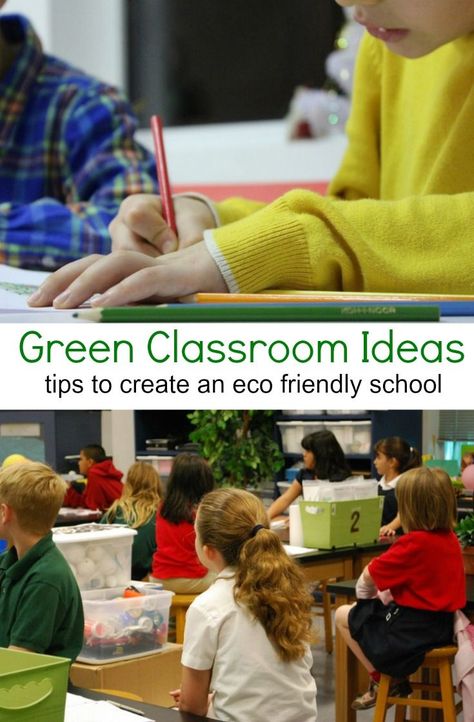 Want more environmentally friendly schools? YOU can help play a part in creating them! Check out these eco friendly school ideas and get started on your green mission! via @DianeHoffmaster Eco Committee School, School Eco Club Ideas, Eco Friendly School Ideas, Eco Classroom Ideas, Eco Friendly Classroom, Green Team Ideas School, Eco Ideas For Schools, Eco School Ideas, Eco Friendly School