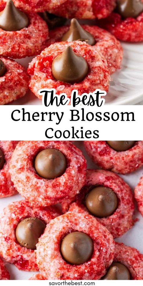 Cherry Blossom Cookies are rich and tender and delicate in flavor, with cherry extract in the cookie dough and a sweet cherry cordial Hershey’s kiss nestled in the center of each cookie. These festive pink and red cookies taste just as wonderful as they look, and are a great addition to any occasion that calls for a sweet treat. Cherry Cordial Kiss Cookies, Cherry Hershey Kiss Cookies, Cherry Wink Cookies, Cherry Cordial Cookies, Italian Cherry Cookies, Sugar Plum Cookies, Lychee Cookie, Cherry Sugar Cookies, Hershey Kisses Cookies