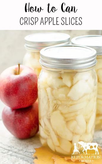 Canning Crisp Apple Slices Canning Sliced Apples, Canning Fresh Apples, Canning Apple Slices, Preserve Apple Slices, How To Can Apples, Freezing Apples Slices, Canning Apples Recipes, Apples Canning, Apple Canning Recipes