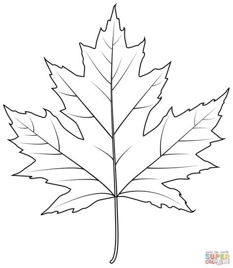 Maple Leaf Coloring Page, Leaf Designs Drawing, Maple Leaf Stencil, How To Draw A Maple Leaf, Fall Leaf Outline, Maple Leaves Drawing, Leaf Patterns Printable, Leafs Drawings, Maple Drawing