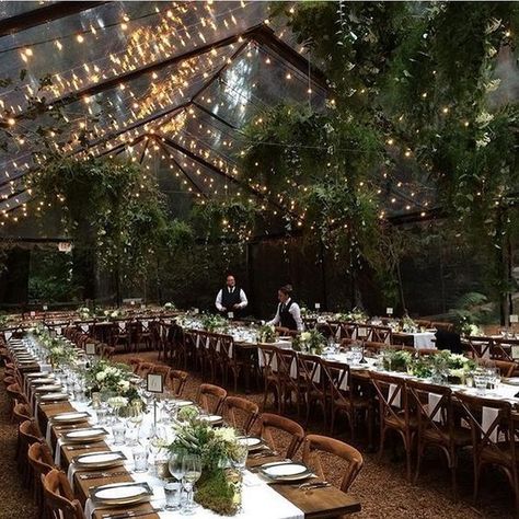 Starry Night Wedding Theme, Forest Wedding Reception, Wedding Reception Lighting, Centerpieces Ideas, Starry Night Wedding, Clear Tent, Forest Theme Wedding, Rustic Wedding Decorations, Wedding Reception Ideas