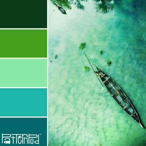 Interior Paint Colors Schemes, Green Interior Design, Pintura Exterior, Paint Color Schemes, Design Seeds, Interior Paint Colors, Green Paint, Colour Schemes, Color Pallets