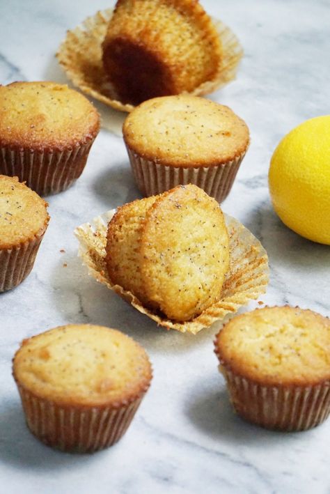 These paleo lemon poppyseed muffins are the BEST! They're naturally sweetened, lemony, and made with healthy ingredients. #lemonpoppyseedmuffins #paleomuffins #healthymuffins Vegetarian Recipes Dairy Free, Poppyseed Muffins, Spinach Muffins, Mini Torte, Pumpkin Chocolate Chip Muffins, Gluten Free Thanksgiving, Poppy Seed Muffins, Lemon Poppyseed Muffins, Paleo Baking