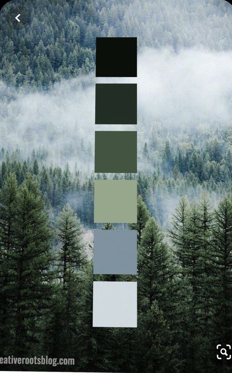 Forest Colour Scheme, Forest Paint Palette, Night Forest Color Palette, Misty Forest Color Palette, Forest Pallete, Bedroom Stuff, Forest Color, Evergreen Forest, Cool Tones