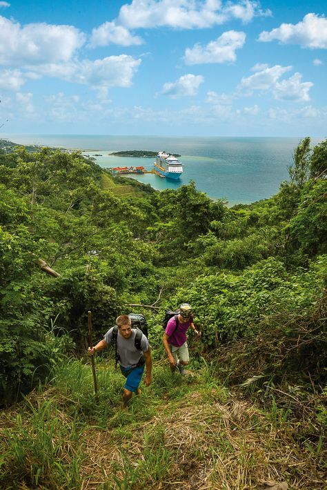 Roatán, Honduras | Take the path less traveled for ultimate bragging rights on a Western Caribbean cruise. Explore Roatán's mangrove forests, dense jungles, and white-sand beaches. Snorkel in the world-famous waters to see the world’s second-largest barrier reef firsthand. And explore laid-back beach towns and secluded shores. Best Cruises, Western Caribbean Cruise, The Path Less Traveled, Path Less Traveled, Royal Caribbean Cruises, Beach Hammock, Roatan Honduras, Best Travel Destinations, Western Caribbean