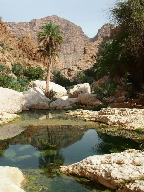 Bio Pool, Desert Aesthetic, Desert Oasis, Jolie Photo, In The Desert, Nature Aesthetic, Hidden Treasures, Pretty Places, Travel Aesthetic