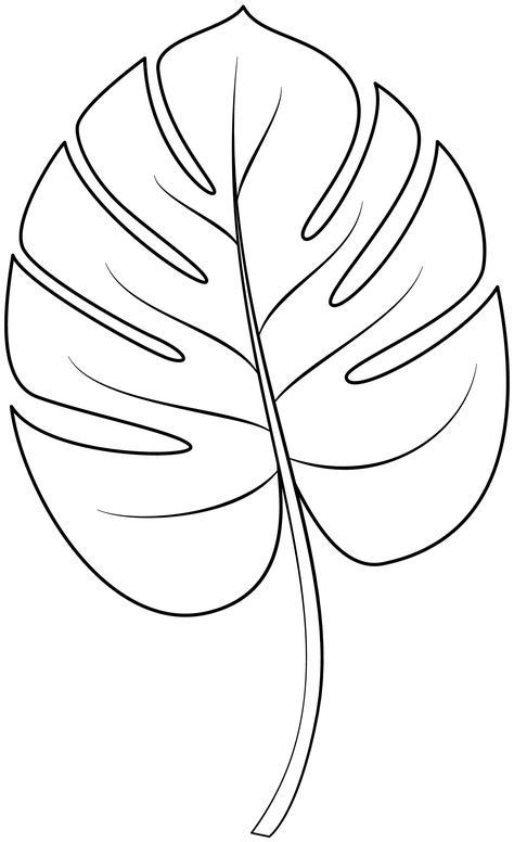 Paper Leaf Template Free Printable, Leaf Monstera Drawing, Printable Palm Leaf Template, Banana Leaf Template, Free Printable Leaves Leaf Template, Tropical Leaf Pattern Printable, Leaves Pattern Leaf Template, Tropical Leaves Template Free Printable, Leaf Template Printable Leaves