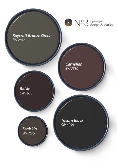 Our Favorite Deeps and Darks of 2024 | Tinted Deep Color Bathroom, Moody Home Color Scheme, Moody Cottage Paint Colors, Dark Clove Sherwin Williams Paint, Moody Home Paint Colors, Sherwin Williams Dark Moody Colors, Sherwin Williams Dark Bedroom Colors, Bathroom Dark Paint Colors, Moody Den Paint Colors