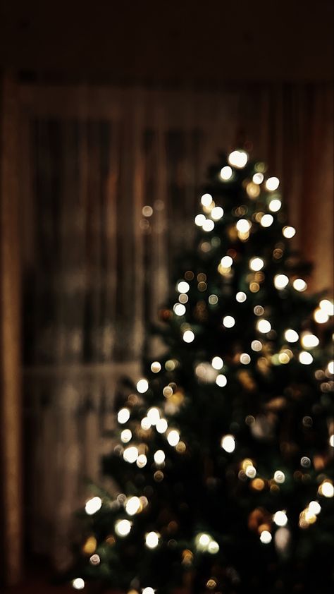 Christmas Bokeh Wallpaper, Christmas Blurred Background, Bokeh Christmas Lights, Bokeh Lights Photography, Blurred Christmas Tree Background, Merry Christmas Aesthetic Photo, Christmas Tree Blurry, Christmas Tree Close Up, Christmas Light Aesthetic