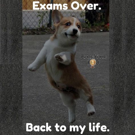 Exams Over.....  🤣🤣🤣 Visit us at www.bookyourjobs.com. #class #student Exam Is Over, Exams Are Over, Exam Over, Exam Memes, Ending Quotes, First Youtube Video Ideas, Video Ideas, Youtube Video, Profile Picture