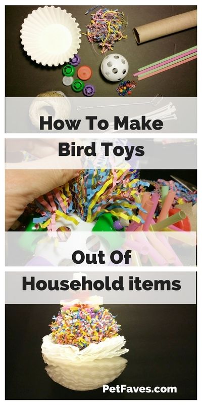 Bird toys can get expensive to buy. Save money by making your own toys. See how you can use items you have around the house to make a fun toy for your parrot. | #parrot #parrottoy #petdiy Homemade Bird Toys, Diy Parrot Toys, Parakeet Care, Cockatiel Toys, Diy Bird Cage, Parakeet Toys, Diy Bird Toys, Budgie Toys, Parakeet Cage