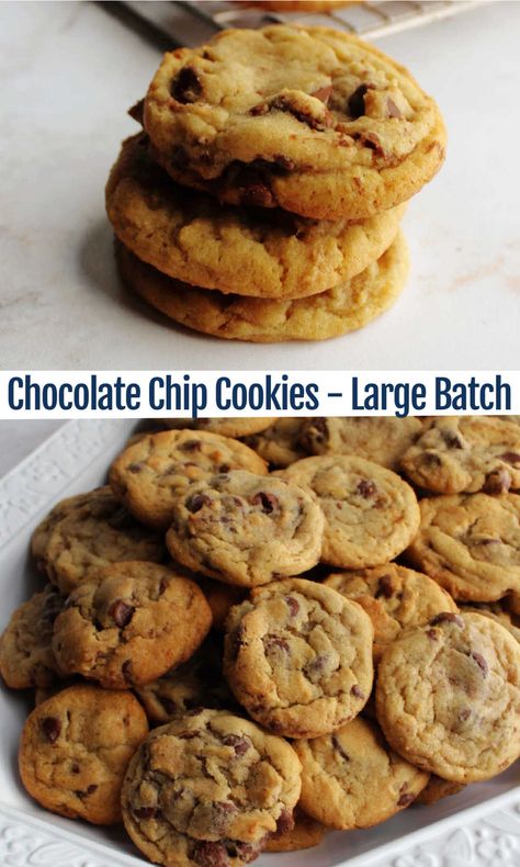 Everyday Cookies, Soft Chewy Chocolate Chip Cookies, Home Chocolate, Tollhouse Chocolate Chip Cookies, Welcome To The Neighborhood, The Best Chocolate Chip Cookies, Toll House Chocolate Chip, Choco Chip Cookies, Best Chocolate Chip Cookies Recipe