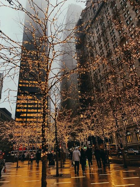 Nyc Christmas Aesthetic, Christmas In New York City Aesthetic, Gossip Girl Vibes, New York Christmas Aesthetic, Christmas In Nyc, Christmas Nyc, Nyc Pics, New York City Christmas, Winter In New York