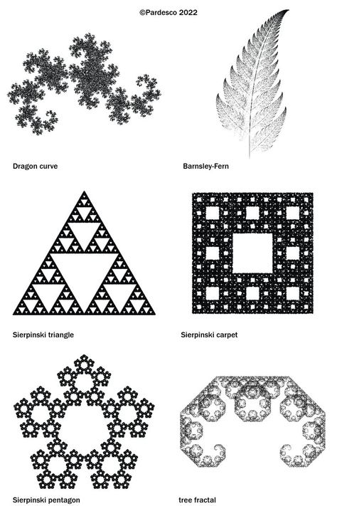 fractal geometry Symmetry In Nature, Mathematical Shapes, Fractal Tree, Fractals In Nature, Mandelbrot Set, Mathematics Art, Geometry In Nature, Sacred Geometry Patterns, Fractal Geometry