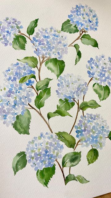 Heather Flower Watercolor, Pictures To Watercolor, Flowers Watercolour Painting, Watercolor Paint Flowers, Painting Watercolour Ideas, Easy Water Colour Flower, Watercolor Painting Ideas Easy Simple, Painted Hydrangea Flowers, Acrylic Watercolor Painting