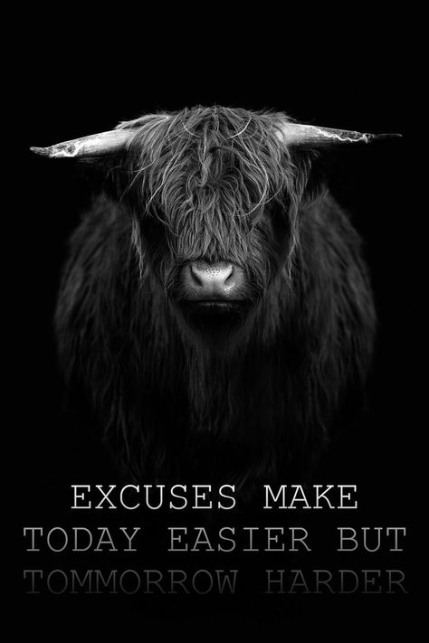 THIS IS A  MOTIVATIONAL QUOTE - "EXCUSES MAKE TODAY EASIER BUT TOMMORROW HARDER" No More Excuses Quotes, No Excuses Wallpaper, Excuse Quotes, No Excuses Quotes, Excuses Quotes, Reason Quotes, No More Excuses, Hard Quotes, Cellphone Wallpaper Backgrounds