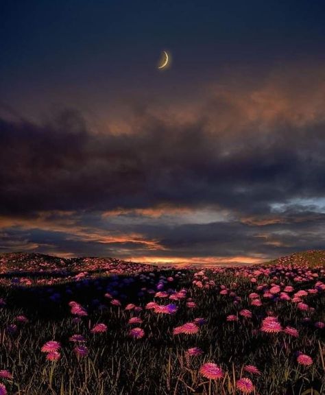 Gabicore Aesthetic, Lexicore Aesthetic, Mia + Core + Aesthetic, Pretty Landscapes, Moon Photography, Sunset Wallpaper, Aesthetic Photography Nature, + Core + Aesthetic, Night Sky Photos