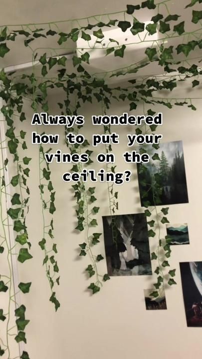 Places To Put Vines In Your Room, Things To Do With Fake Vines, How To Put Up Fake Vines In Your Room, Vines In A Room, How To Put Vines In Room, How To Set Up Vines In Room, Hanging Fake Vines Bedroom, How To Hang Leaves On Wall, Vine Hanging Ideas