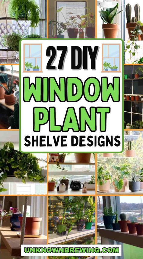 Below Window Plant Shelf, Window Flower Shelves, Bay Window For Plants, Shelves On Windows For Plants, Large Window Plant Shelf, Hanging Plant Shelf In Front Of Window, Sliding Glass Door Plant Shelf, Diy Window Shelves, Big Window Plant Display