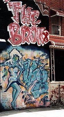 Street Art New York Bronx Life, The Bronx Aesthetic, Bronx Aesthetic, Bronx Hip Hop, Bronx Graffiti, Heart Aches, Bronx Nyc, The Bronx New York, Connie Springer